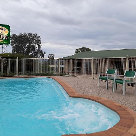 คันทรี โรส โมเทล วอร์วิก Motel วอริก ภายนอก รูปภาพ